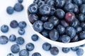 A Bowlful Of Blueberries Royalty Free Stock Photo