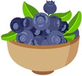Bowlful of Fresh and Ripe Blueberries Royalty Free Stock Photo