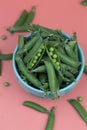 A bowlful of freshly picked and podded, homegrown garden peas