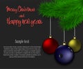 Bowling ball hanging on a Christmas tree branch Royalty Free Stock Photo