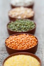 Bowls of cereal grains. Selective focus on red lentils. Royalty Free Stock Photo