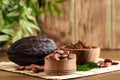 Bowls of cocoa beans and powder near pod Royalty Free Stock Photo