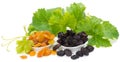 Bowls of colorful raisins with leaves of grape Royalty Free Stock Photo