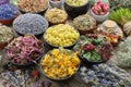 Bowls of dry medicinal herbs - lavender, cornflower, echinacea, marigold, rose, daisies, oak bark, Helichrysum, healthy moss and Royalty Free Stock Photo