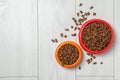 Bowls with food for cat and dog Royalty Free Stock Photo
