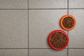 Bowls with food for cat and dog on floo et care Royalty Free Stock Photo
