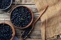 bowls with forest blueberry just picked Royalty Free Stock Photo