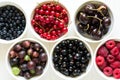 Bowls with fresh ripe gooseberry, red currant, black currant, raspberry, blueberry and cherry Royalty Free Stock Photo