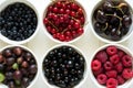 Bowls with fresh ripe gooseberry, red currant, black currant, raspberry, blueberry and cherry Royalty Free Stock Photo