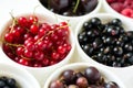 Bowls with fresh ripe gooseberry, red currant, black currant, raspberry, blueberry and cherry Royalty Free Stock Photo