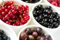 Bowls with fresh ripe gooseberry, red currant, black currant, raspberry, blueberry and cherry Royalty Free Stock Photo