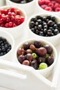 Bowls with fresh ripe gooseberry, red currant, black currant, raspberry, blueberry and cherry Royalty Free Stock Photo