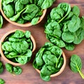 Bowls of Fresh Spinach