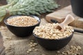Bowls of oat grains and oat flakes, green oat ears on kitchen table Royalty Free Stock Photo