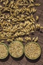 Bowls with oat grains and reap of oats on brown background. Top view