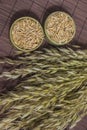 Bowls with oat grains and reap of oats on brown background. Top view