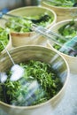 Bowls of salad keaves Royalty Free Stock Photo