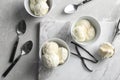 Bowls with tasty vanilla ice cream Royalty Free Stock Photo