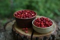Bowls of tasty wild strawberries on stump against blurred background, closeup