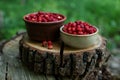 Bowls of tasty wild strawberries on stump against blurred background, closeup