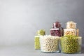 Bowls of various legumes: chickpeas, lentils, mung, red and white bean on a gray background