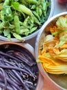 bowls with vegetables picked from the garden, purple green beans, zucchini flowers, green peas Royalty Free Stock Photo