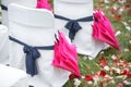 Bows made of fabric. accessory chair bow wedding registration Royalty Free Stock Photo