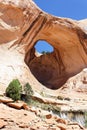 Bowtie Arch Royalty Free Stock Photo