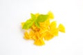 Bowtie pasta farfalle and basil Royalty Free Stock Photo