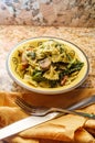 Bowtie Pesto with Broccoli Rabe Royalty Free Stock Photo