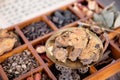 A box of all kinds of traditional Chinese medicine and rhubarb on the box