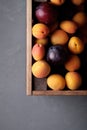 Box with apricots and plums