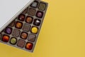 Gourmet Assorted Chocolates in a Box Royalty Free Stock Photo