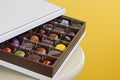 Gourmet Assorted Chocolates in a Box Royalty Free Stock Photo