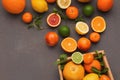 Variety of ripe citruses on gray background Royalty Free Stock Photo