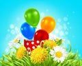 box with balloons in the grass with daisies, dandelions and camomile