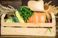 Box or basket harvest vegetables wooden background. Excellent quality vegetables. Just from garden. Grocery shop concept Royalty Free Stock Photo