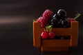 Box with berries. Closeup: raspberry, red and black currant.