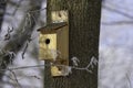 Box for birds in tree Royalty Free Stock Photo