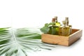 Box with bottles of eucalyptus essential oil on white background Royalty Free Stock Photo