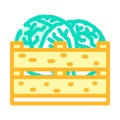 box cabbage color icon vector illustration