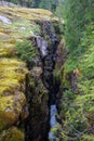 Box Canyon Wonderland Trail in Mount Rainier National Park in Washington State during Summer Royalty Free Stock Photo