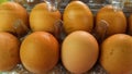 a box of chicken eggs Royalty Free Stock Photo
