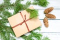 A box, Christmas, a gift, branches of a Christmas tree and cones.