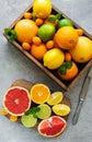 Box with citrus fresh fruits Royalty Free Stock Photo