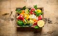 A box of citrus fruit - grapefruit, orange, tangerine, lemon, lime and leaves .