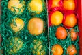 Box with citrus fruits - oranges, grapefruits and Royalty Free Stock Photo