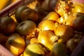 A box with dried and golden onion heads