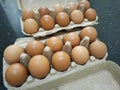 Box of eggs organic protein source