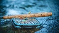 Box with flies. Fly fishing and tenkara Royalty Free Stock Photo